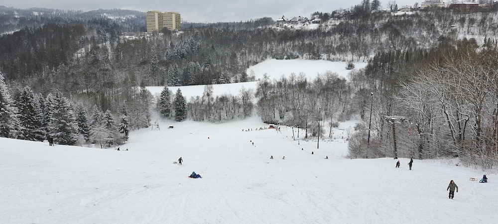 Sledding