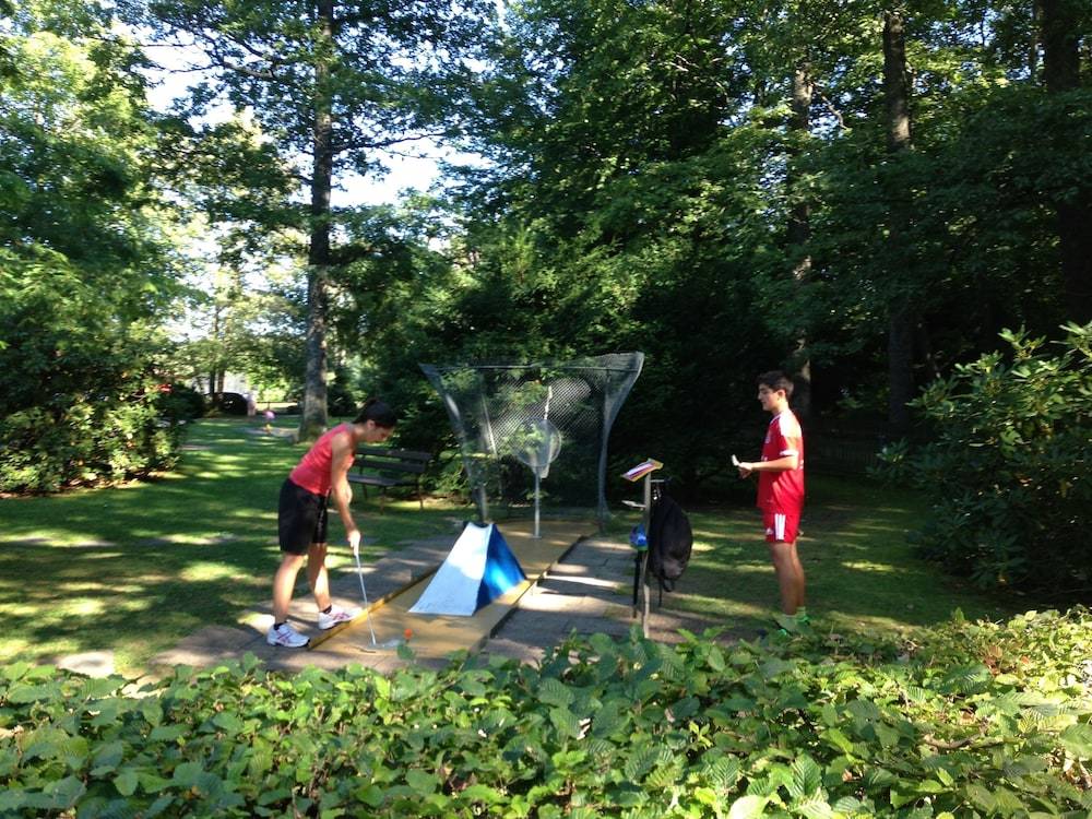 Mini-golf