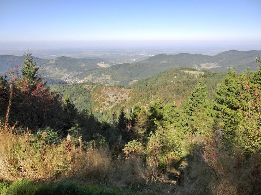 Hiking