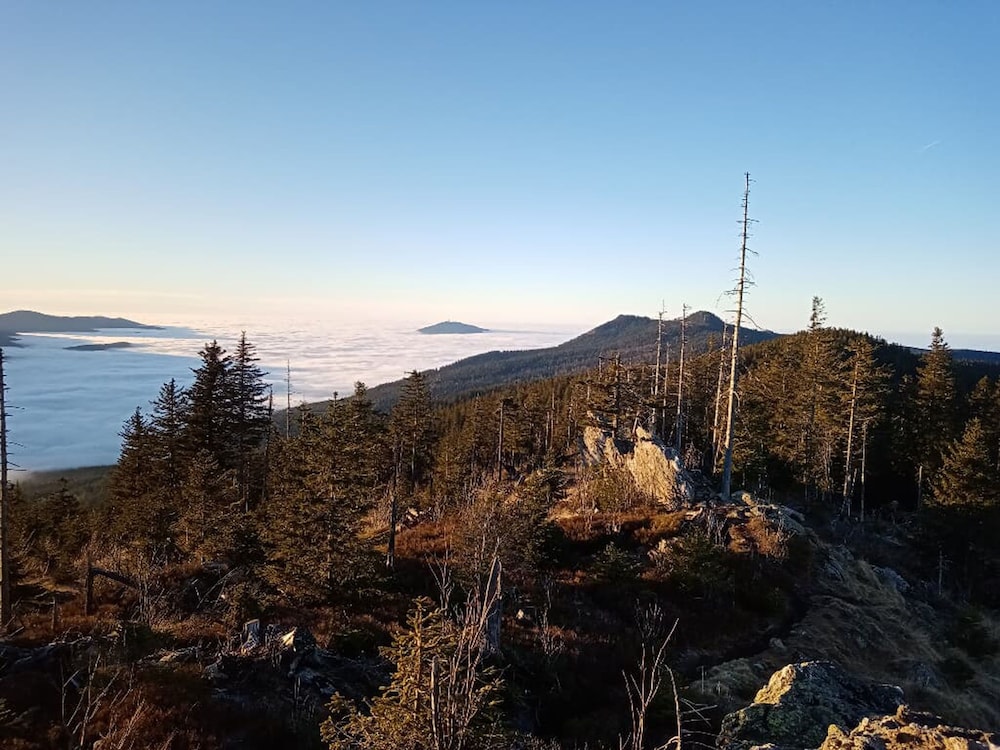 Hiking