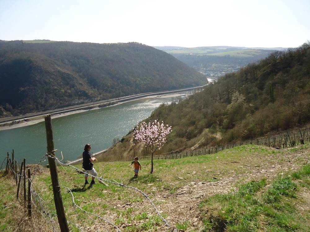 Hiking