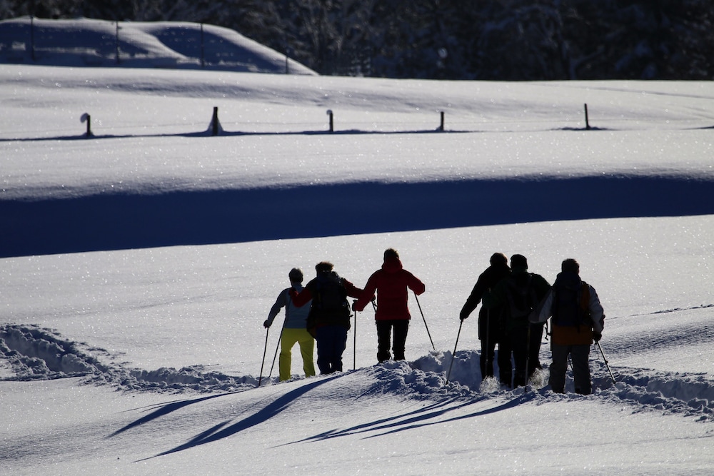 Snowshoeing