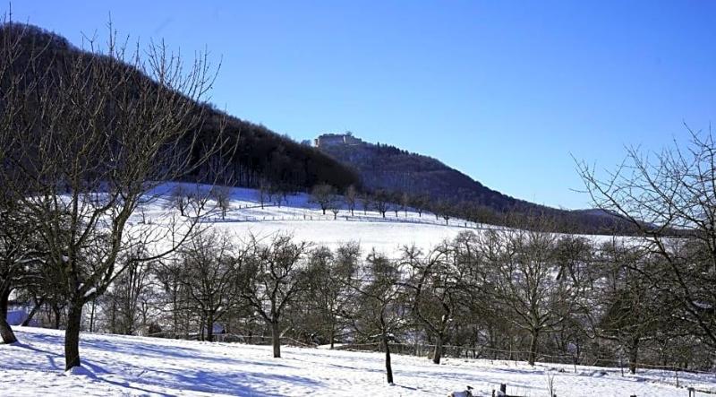 General view