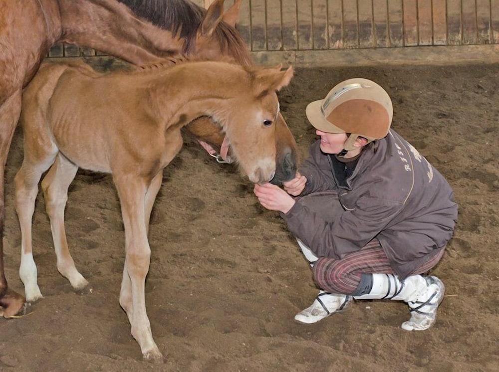 Horseback riding