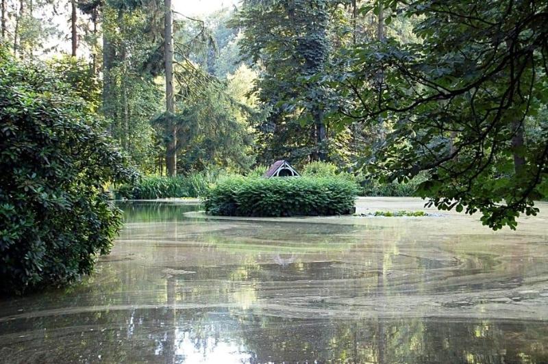 General view