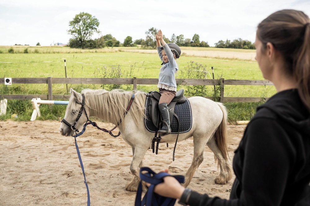 Horseback riding
