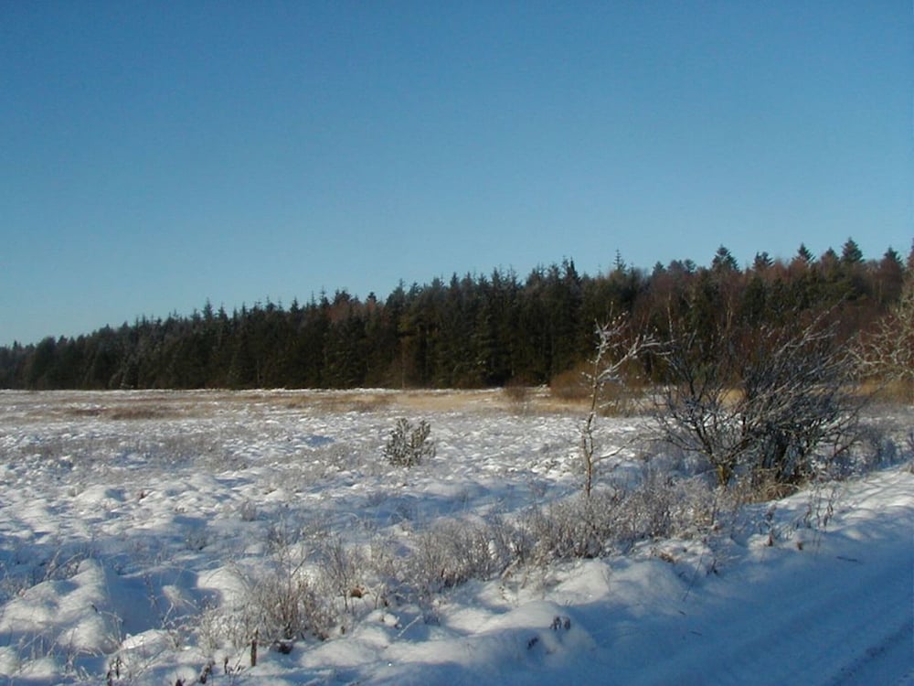 Land view from property