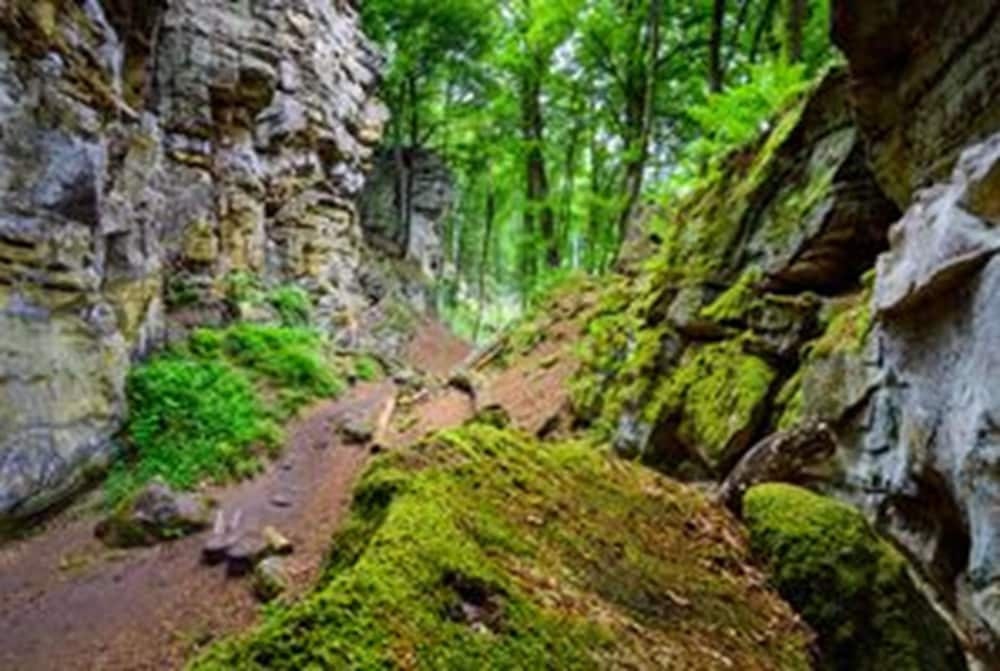 Hiking