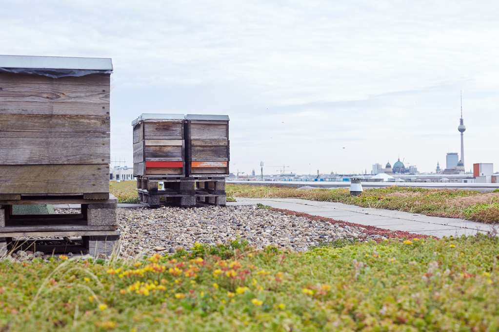 Scandic Berlin Potsdamer Platz exterior rooftop bees