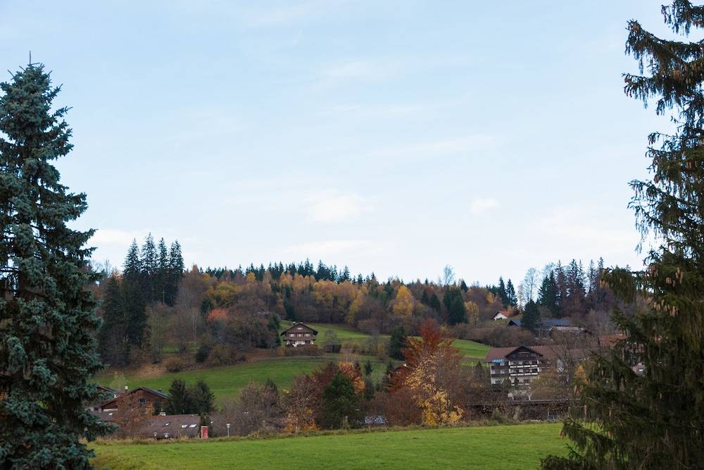 View from property