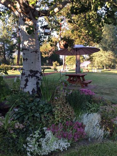 Aspen Inn - photo 4