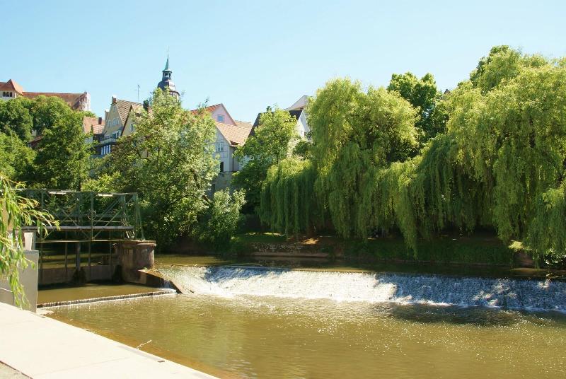 General view