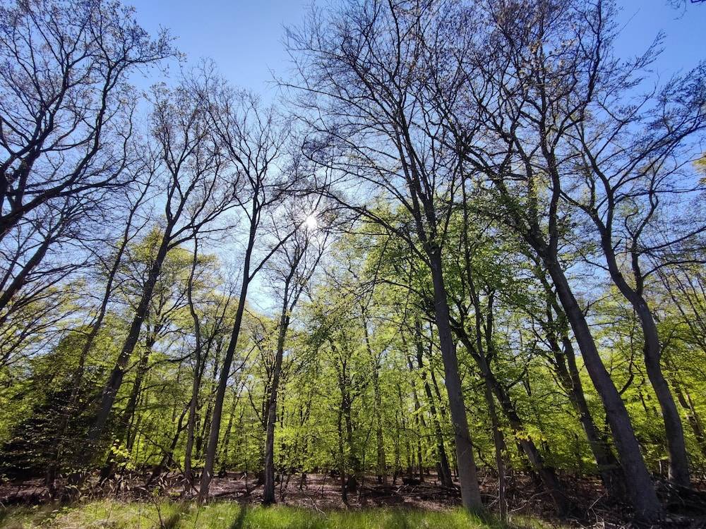 Land view from property