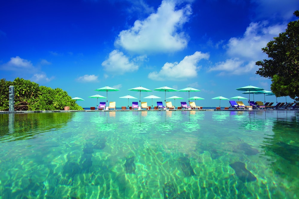 Infinity Pool