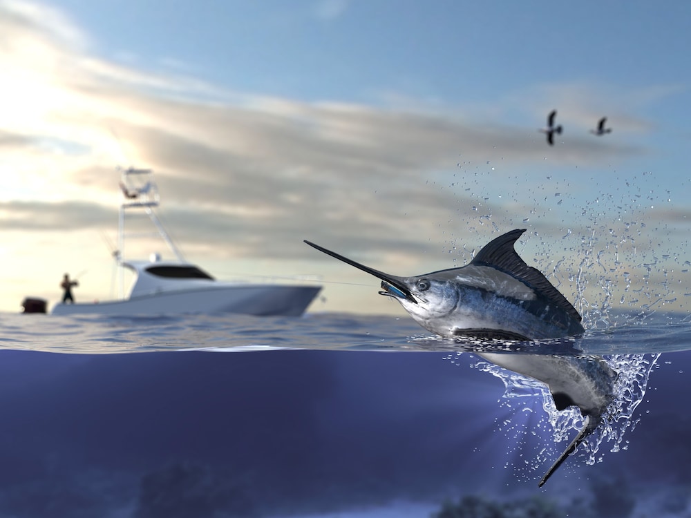Fishing