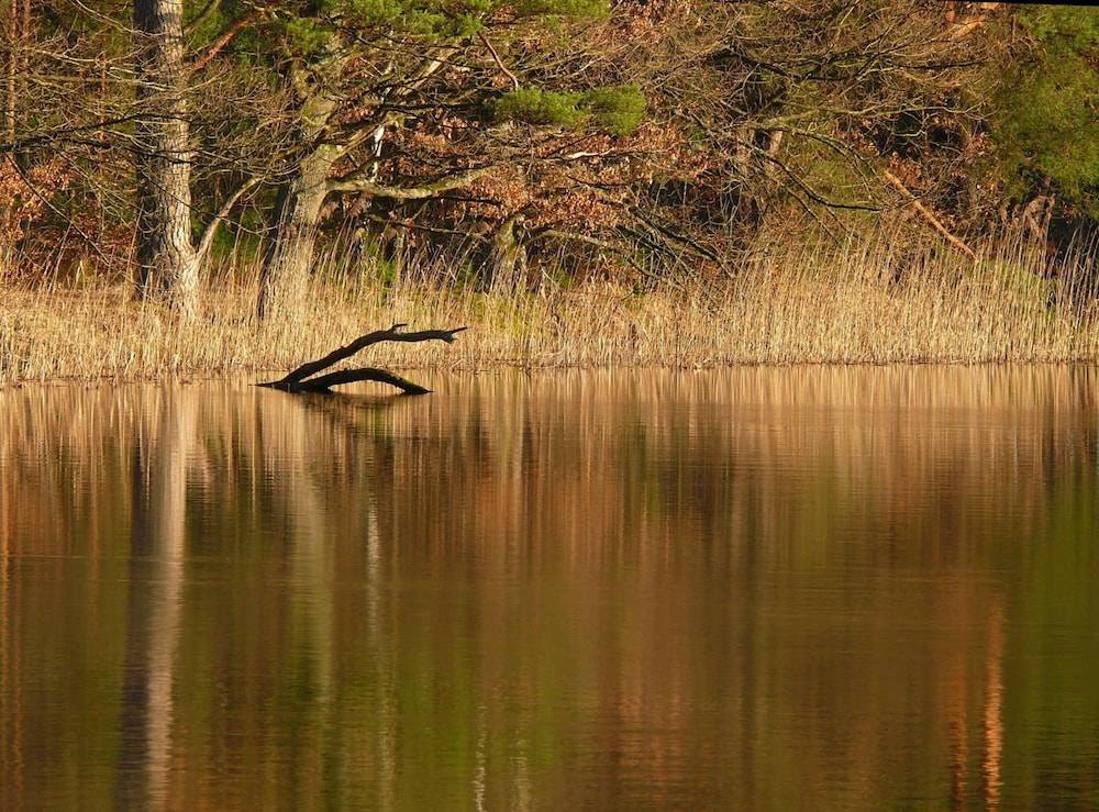 Lake