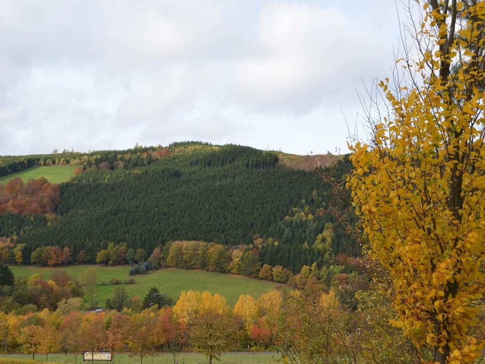 View from property