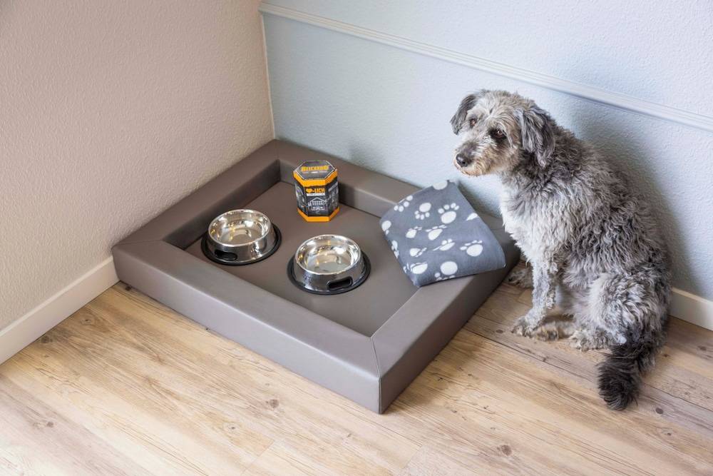 Pet-friendly