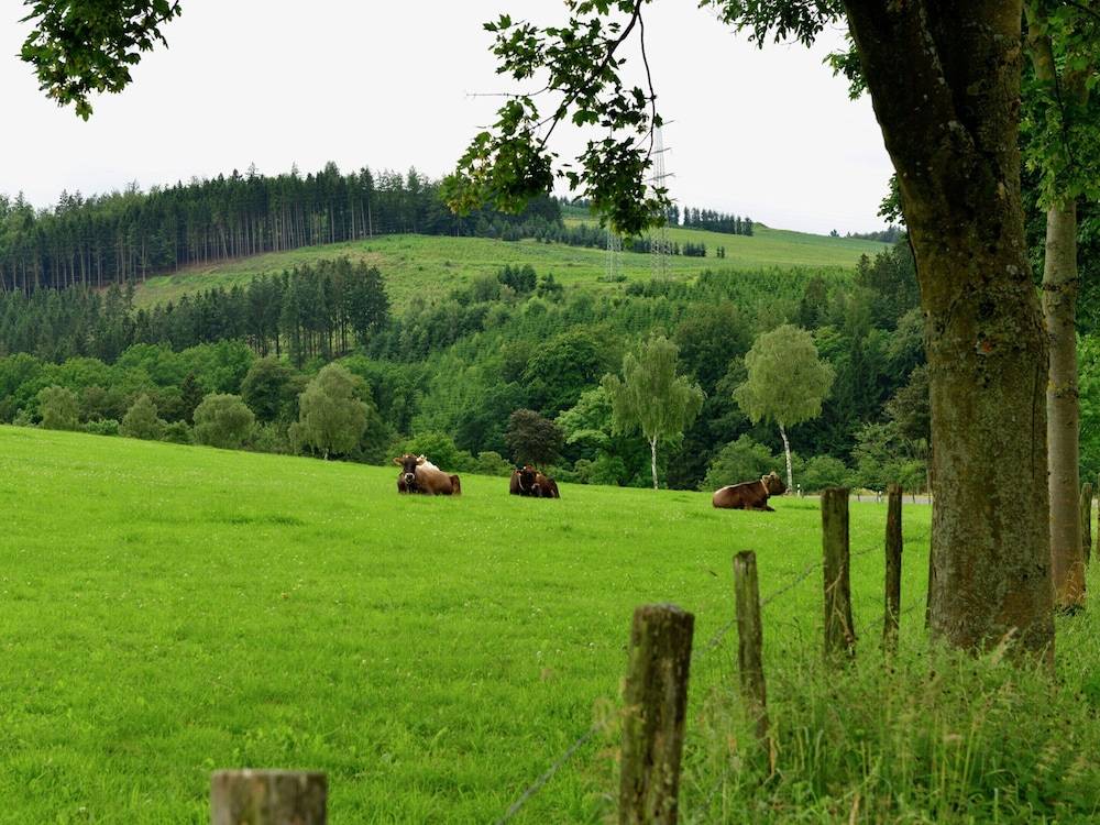 View from property