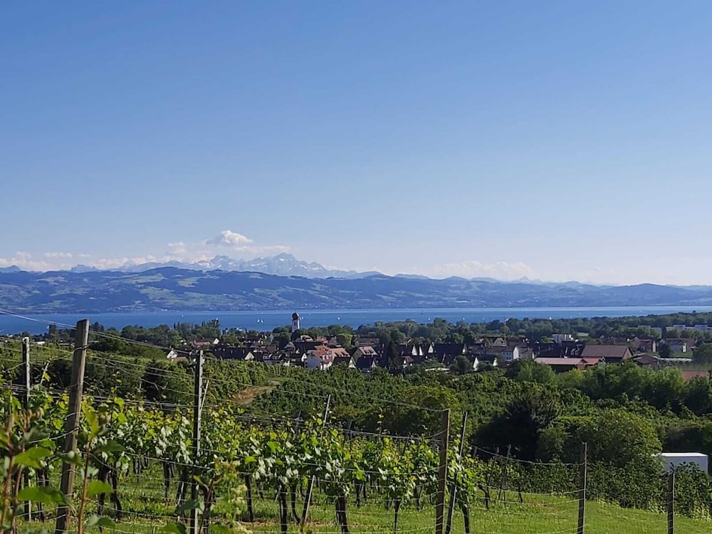 Land view from property