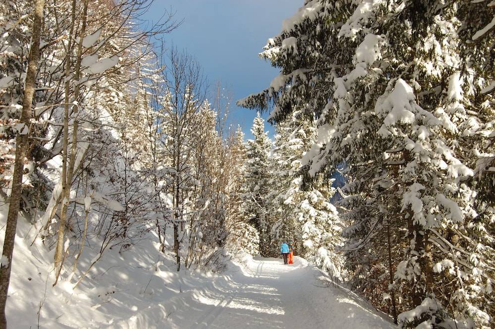 Snowshoeing