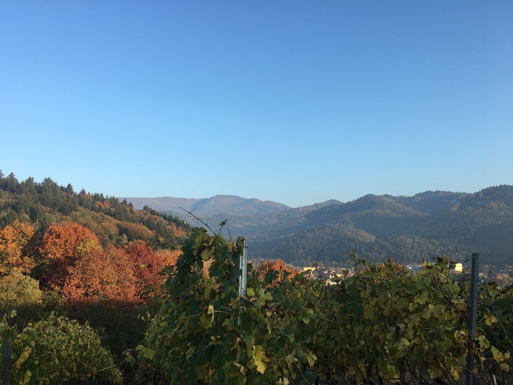 Land view from property