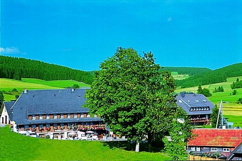 General view