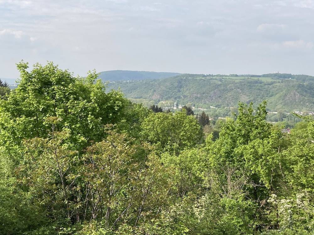 Hiking
