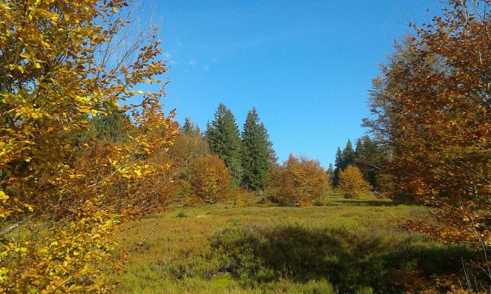 Hiking