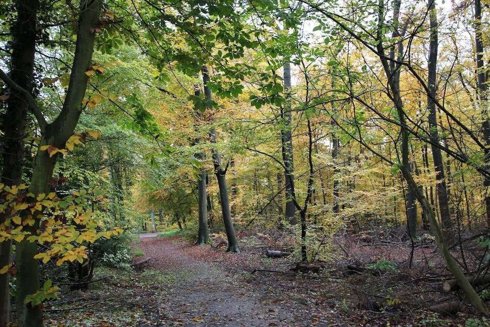 Hiking