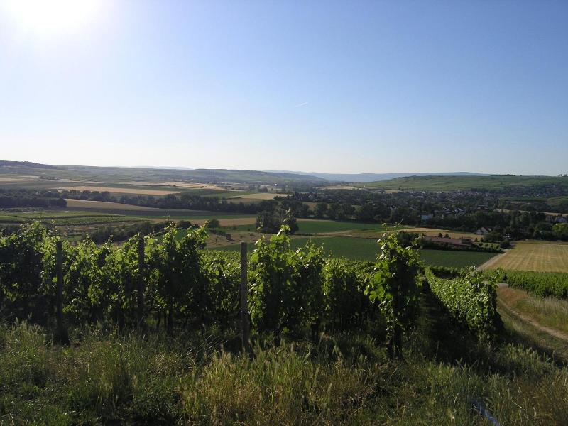 General view