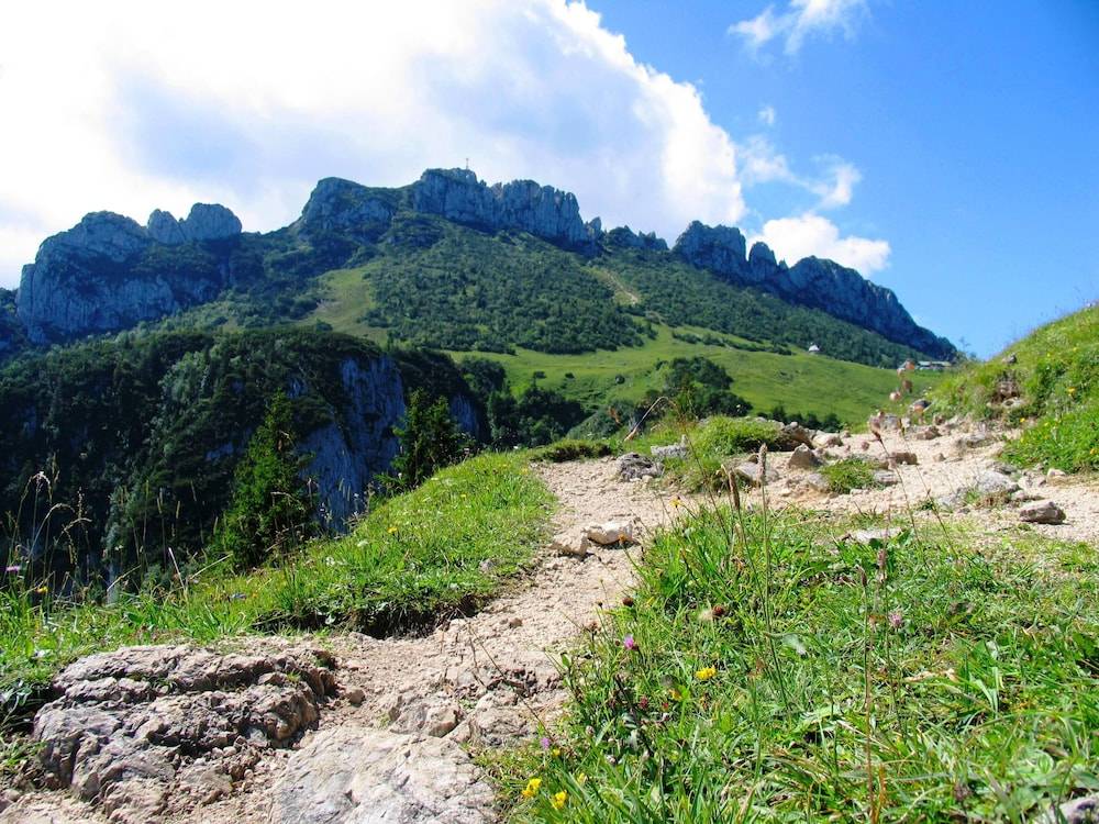 Hiking