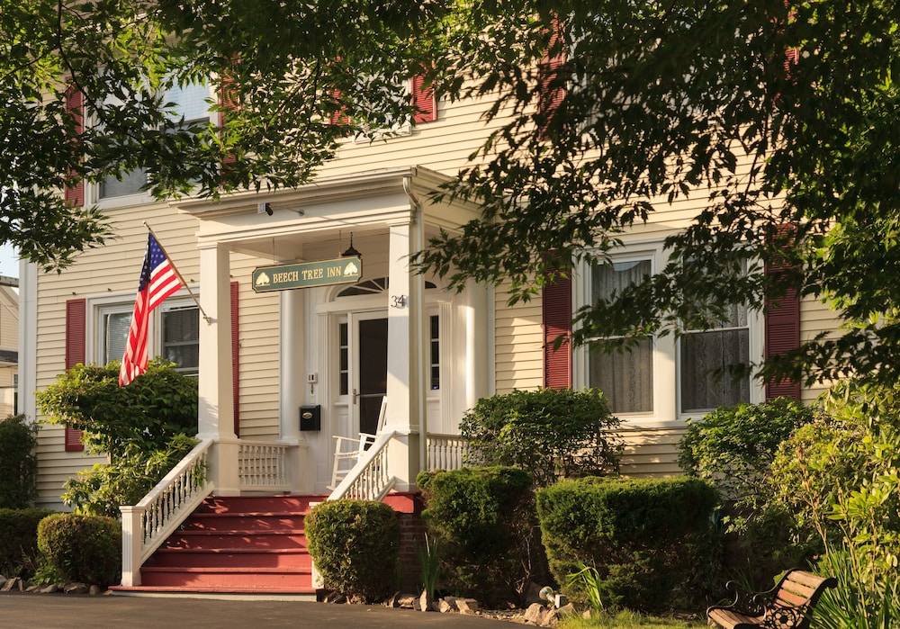 Beech Tree Inn & Cottage - featured photo