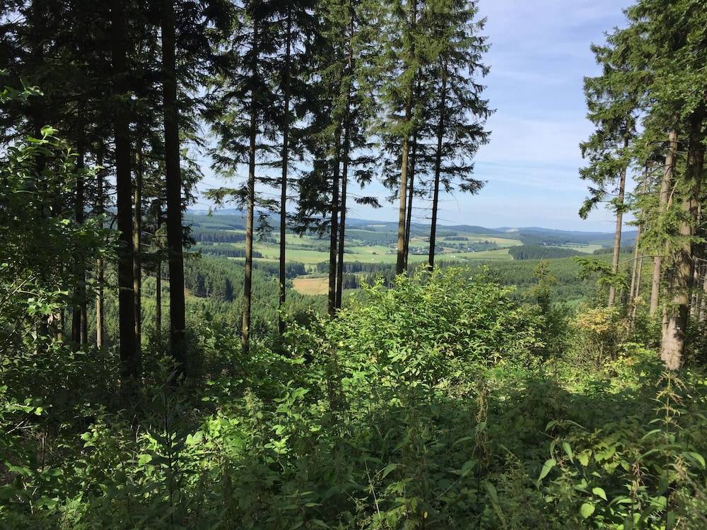 Hiking