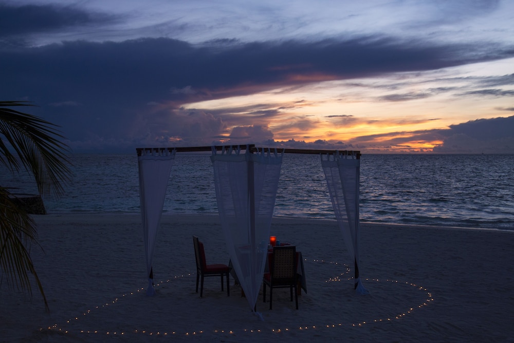 Couples dining