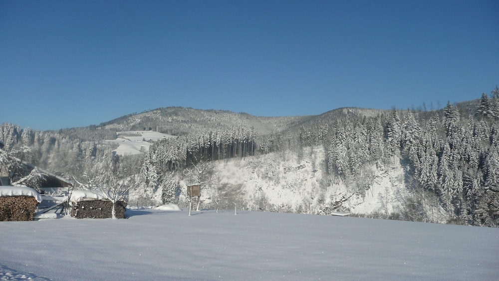 Land view from property