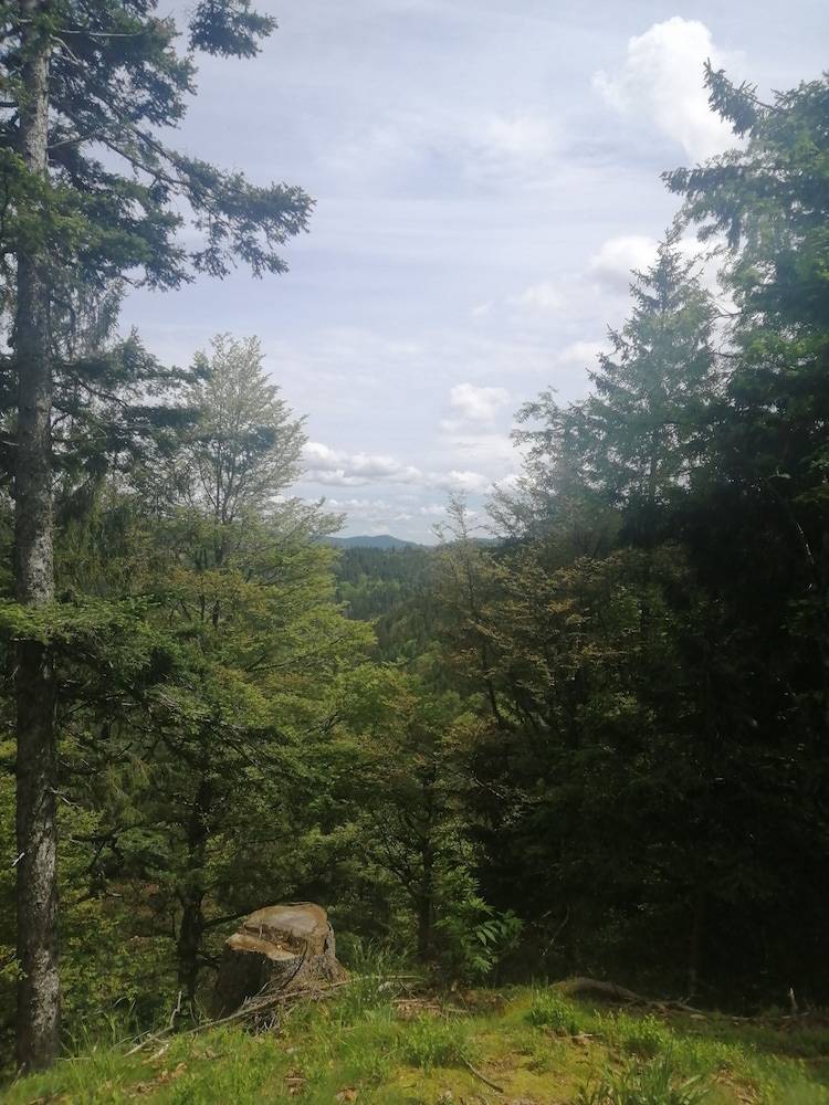 Land view from property