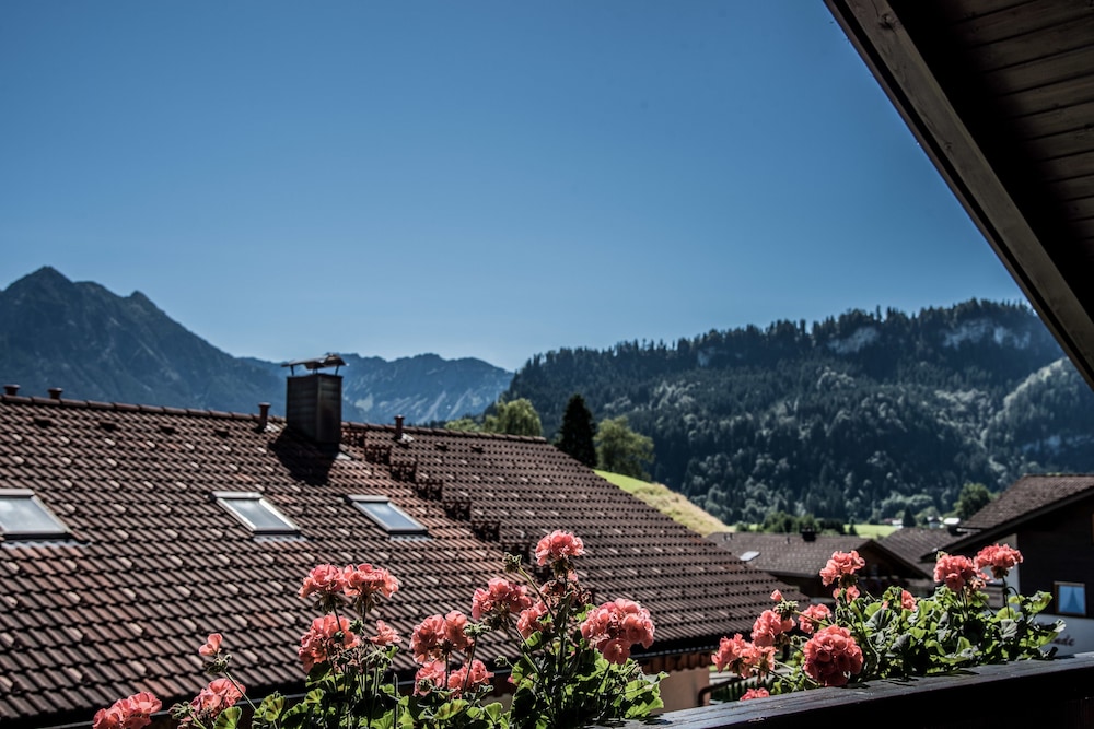 View from room