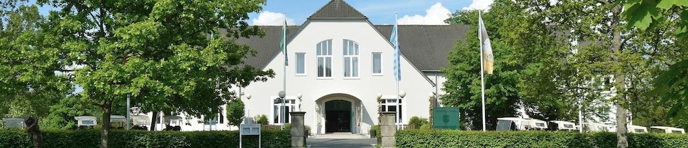 Primary image