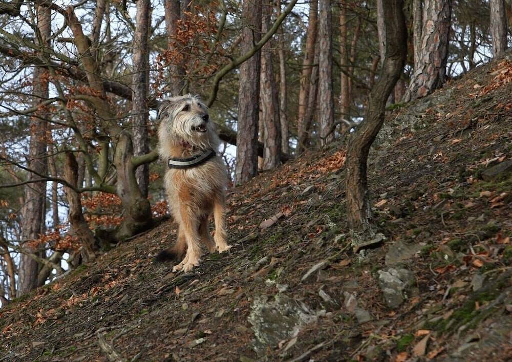 Hiking