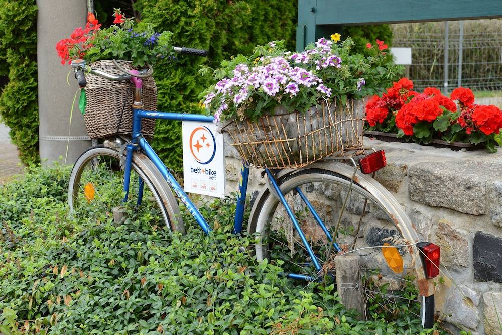 Bicycling