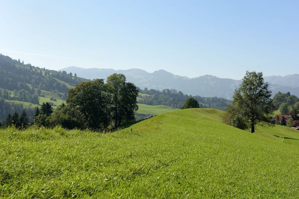 Mountain view