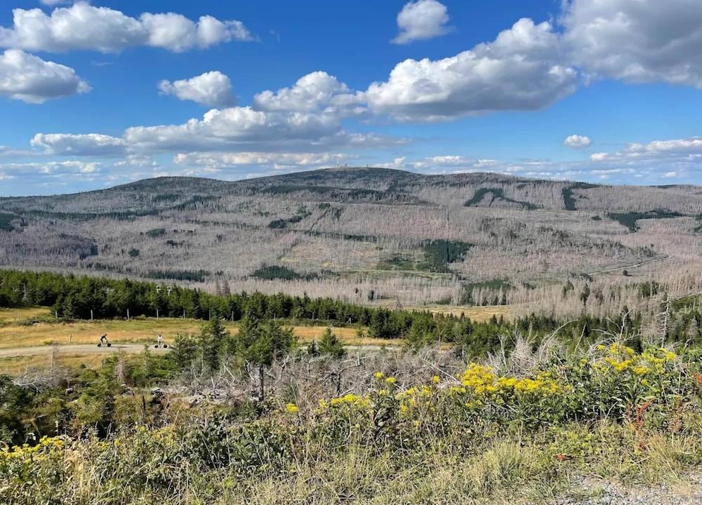 View from property