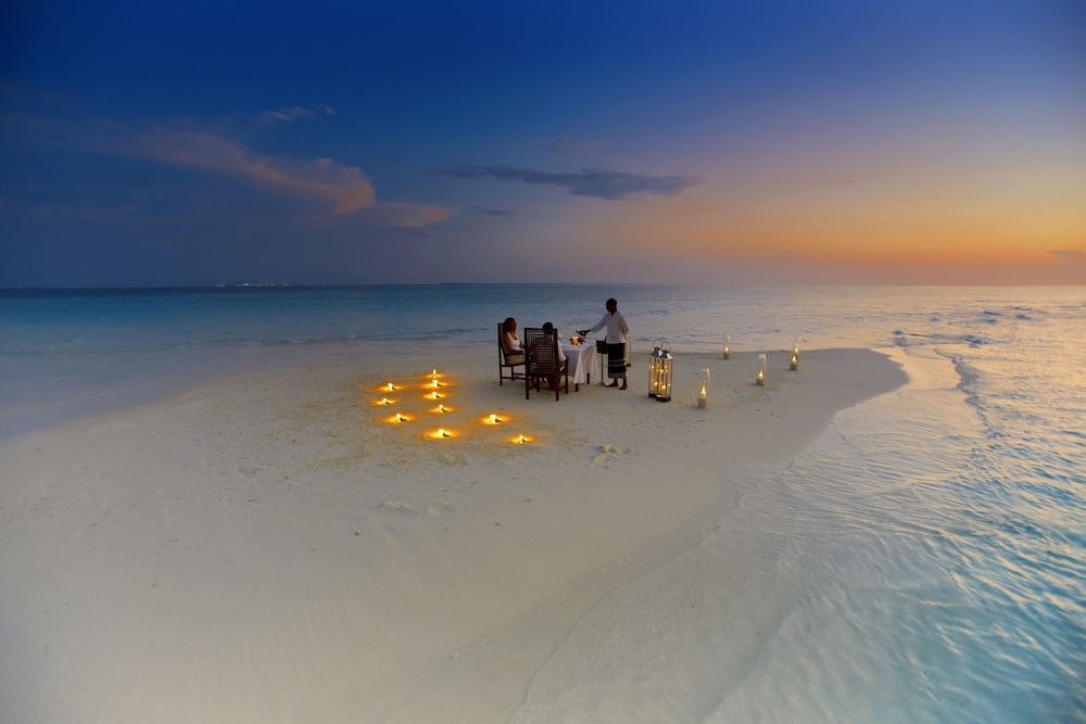 Couples dining