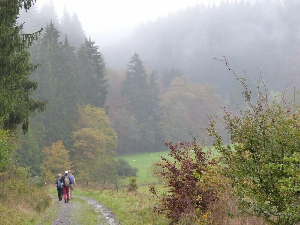 Hiking