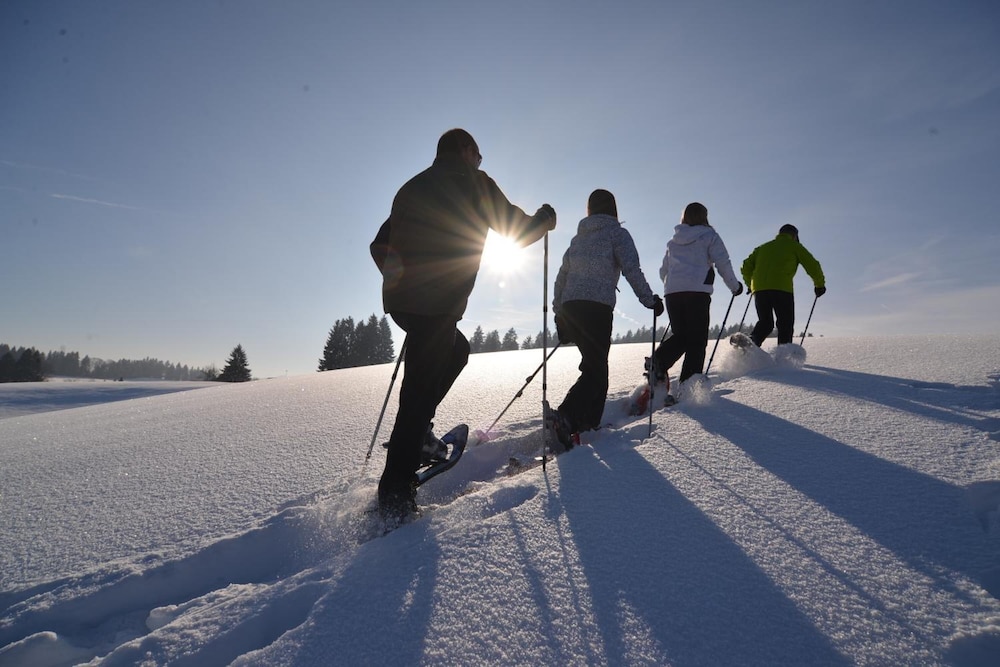 Snow and ski sports