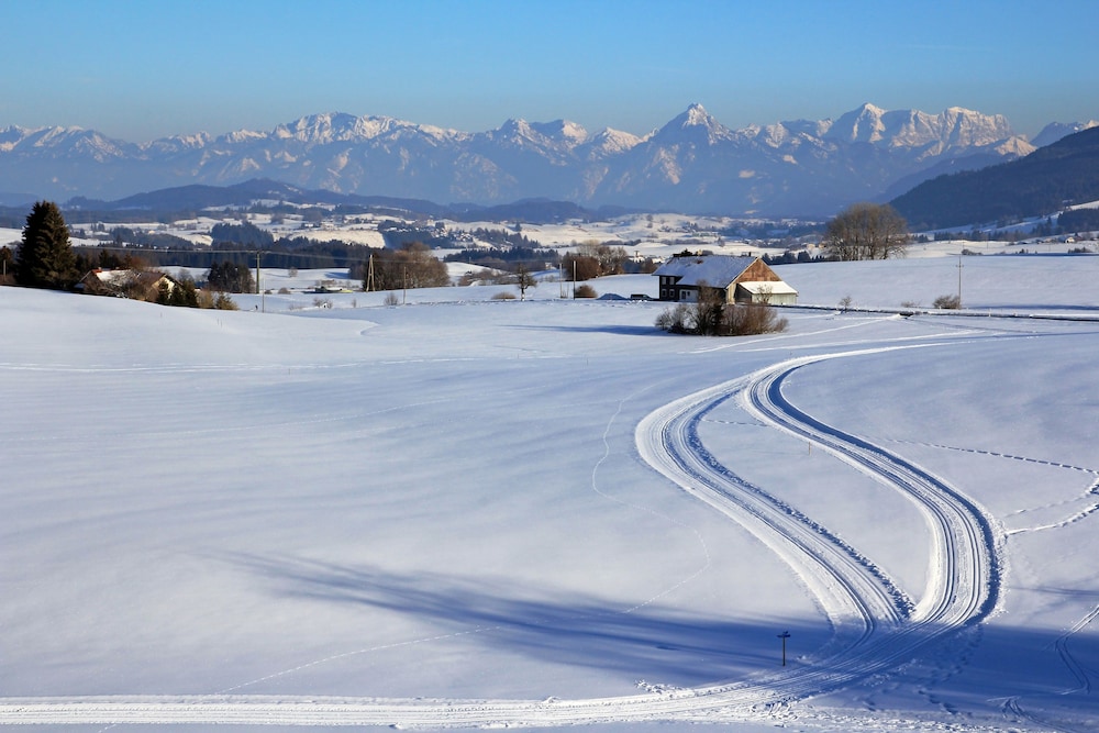 Sledding