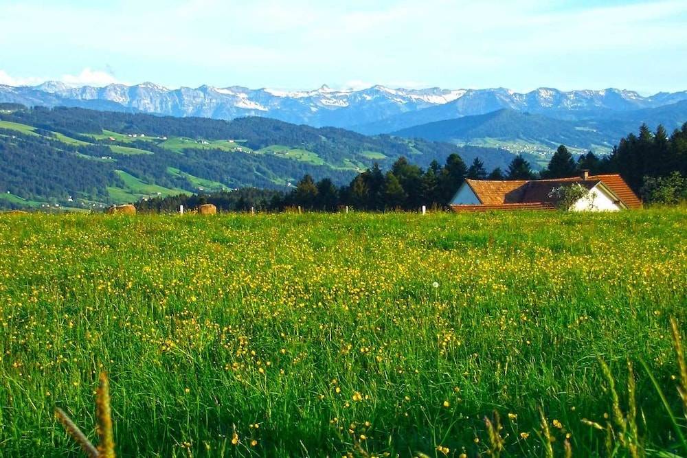 Land view from property
