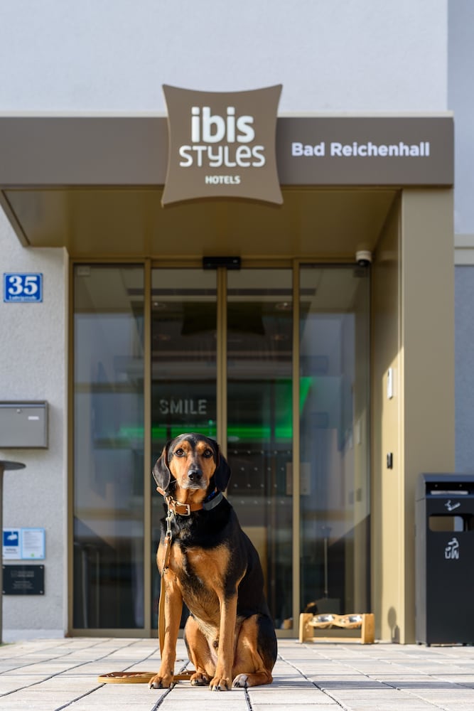 Pet-friendly
