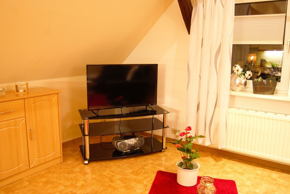 Television